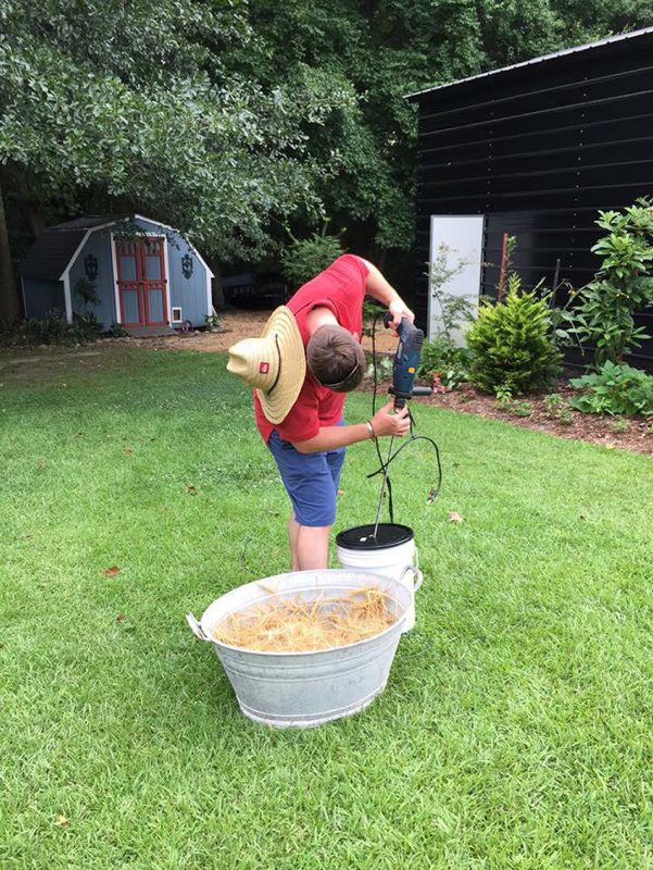 garden grains02.jpg
